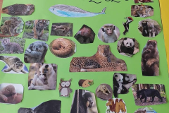 Állatok világnapja projekt hét